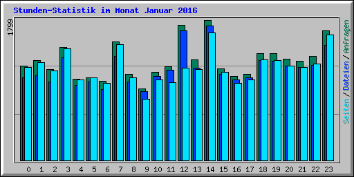 Stunden-Statistik im Monat Januar 2016