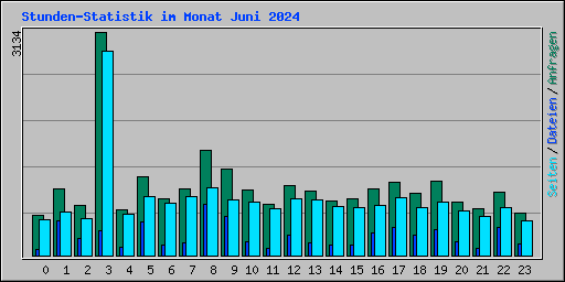 Stunden-Statistik im Monat Juni 2024