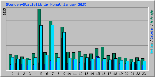 Stunden-Statistik im Monat Januar 2025