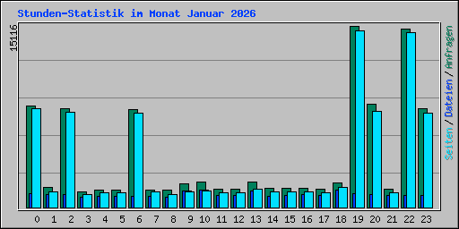 Stunden-Statistik im Monat Januar 2026