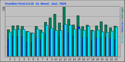 Stunden-Statistik im Monat Juni 2026
