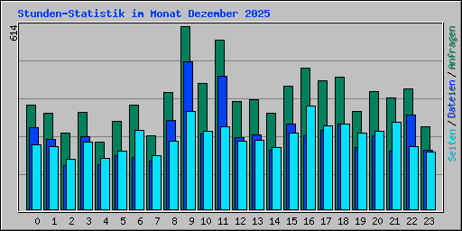 Stunden-Statistik im Monat Dezember 2025